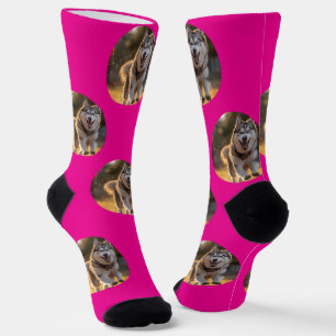 Chaussette Blob de photo personnalisé - Tête de chien Husky