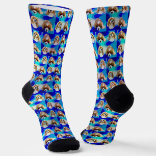 Chaussette Blue Cavalier Spaniel, Chaussettes d'équipage