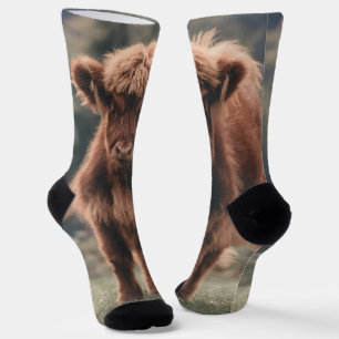 Chaussette Campagne d'herbe d'automne de la vache de haute-te