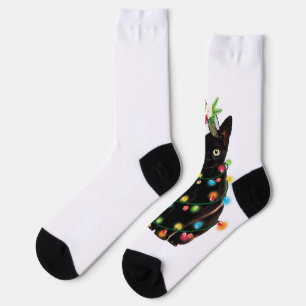 Chaussette Chat Noir Père Noël Tangée Dans Les Lumières De No