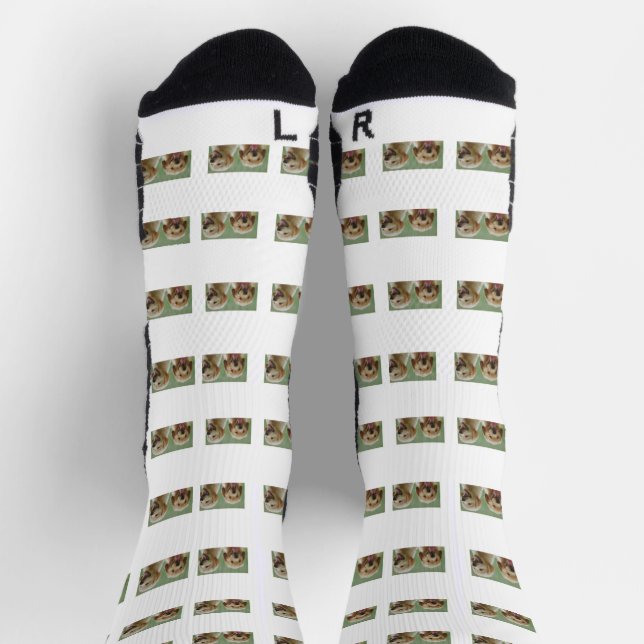 Chaussette Chaussettes Collage photo pour animaux de compagni (Haut)