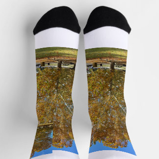 Chaussette Chaussettes d'arbre