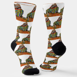 Chaussette Chaussettes de Dragon Colorées