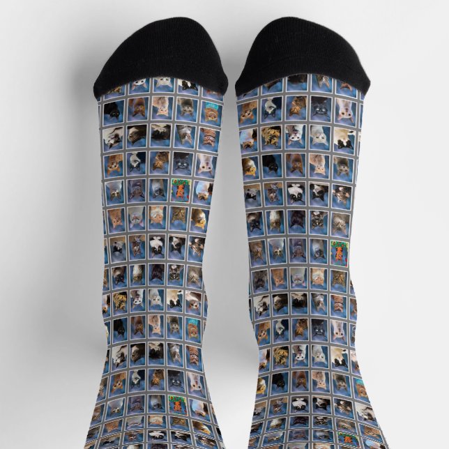Chaussette Chaussettes de l'Annuaire du chat de groupe ennuye (Haut)