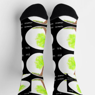 Chaussette chaussettes de peinture d'arbre km