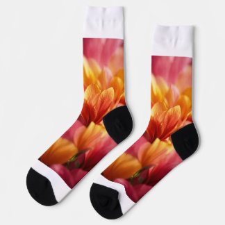 Chaussette Chaussettes de sport