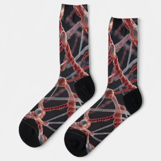 Chaussette Chaussettes d'équipage de biologie