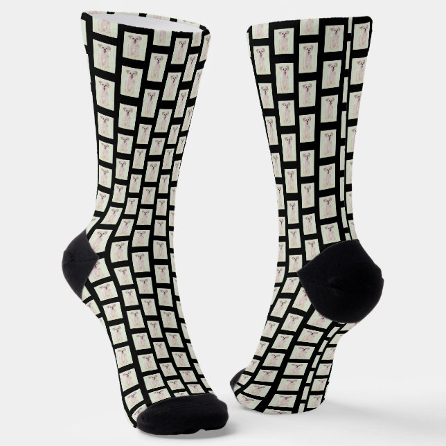 Chaussette Chaussettes d'équipage de chiens morkie (Angulaire)