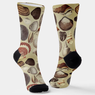 Chaussette Chaussettes d'équipage de coquillages antiques