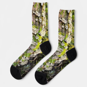 Chaussette Chaussettes. Dessin champignons Queue de dinde