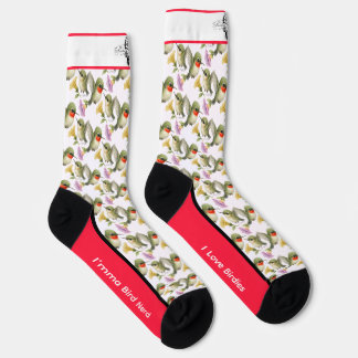 Chaussette Chaussettes d'oiseaux de colibri à gorge rubis