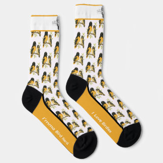 Chaussette Chaussettes d'Oiseaux Orioles Baltimore