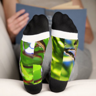 Chaussette Chaussettes Lazuli Bunting
