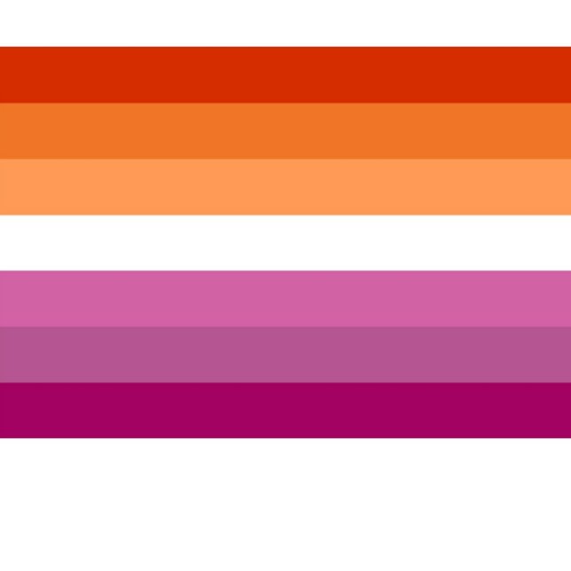 Chaussette Chaussettes panafricaines (Lesbian Pr4ide Flag)