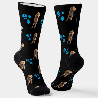 Chaussette Chaussettes personnalisées pour chien — Cadeau pho
