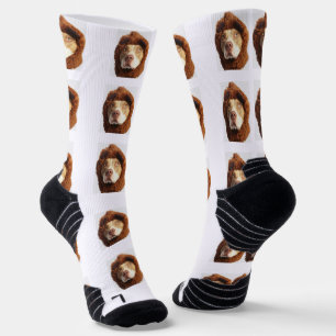 Chaussette Chaussettes photo pour animaux de compagnie person