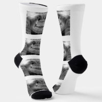 Chaussettes radiographiques pour dents amusantes