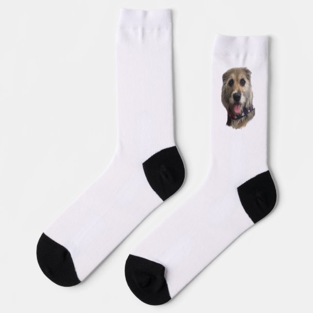 CHAUSSETTE CHAUSSETTES SNICKERS (Gauche)