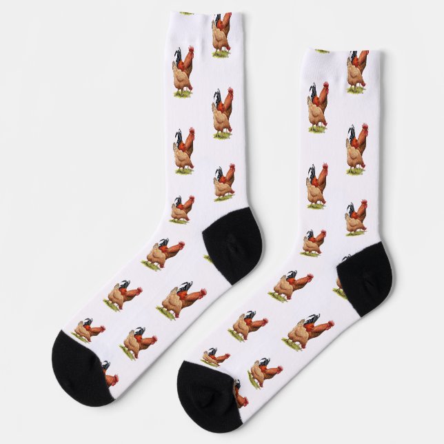Chaussette Chicken And Rooster Art, Poultry, Farm Animals (Gauche)
