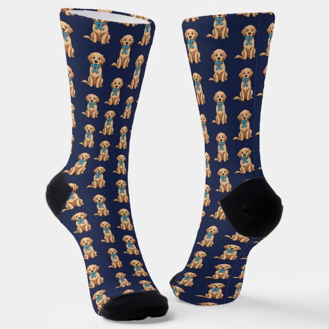 Chaussette Chien De Jour Pi Avec Symbole Pi | Joyeuse Journée (Angulaire)