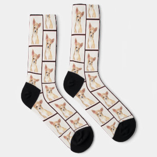 Chaussette Chihuahua Smooth Coat Peinture Chien Art original