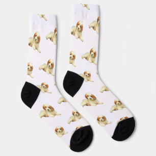 Chaussette Chiots Labradoodle