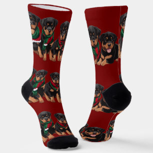 Chaussette Chiots Rottweiler Joyeux Chrismutts Portant une Éc