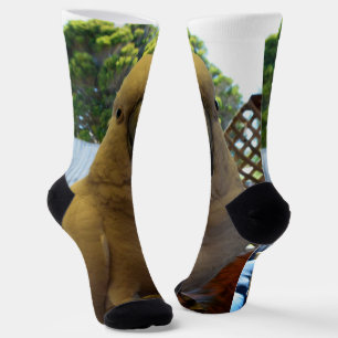 Chaussette Cockatoo Aussie Blanche, Chaussettes d'équipage