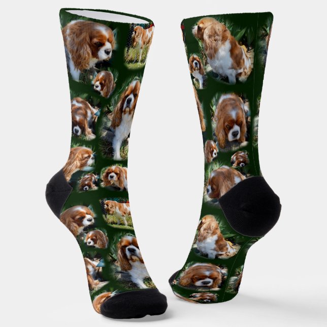 Chaussette Collage photo Cavalier Spaniel, Chaussettes d'équi (Angulaire)