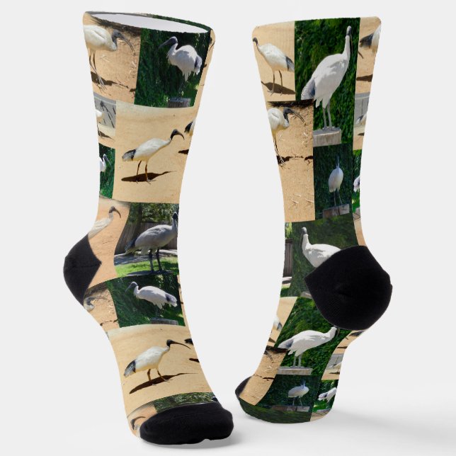 Chaussette Collage photo de poulets de poule, Chaussettes d'é (Angulaire)