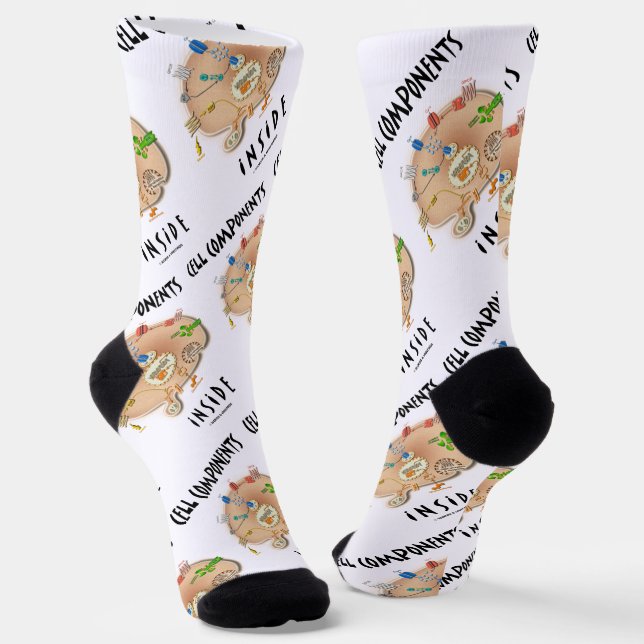 Chaussette Composants cellulaires dans la biologie (Angulaire)
