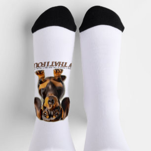 Chaussette dachshund noir blaireau hound chien arrière - plan