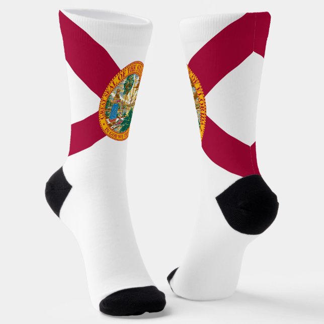Chaussette Drapeau de l'État de Floride Fiers Plaisir floridi (Angulaire)