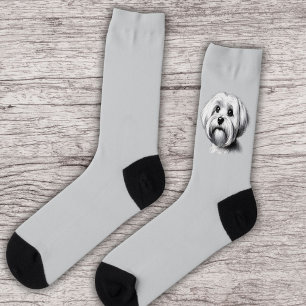 Chaussette Drawing maltese