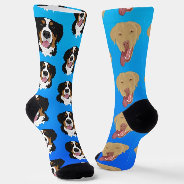 Chaussette Dudley Labrador et Bernese Mountain Dog (Angulaire)
