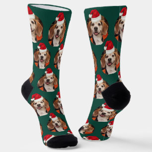 Chaussette Emerald Green Photo pour animaux de compagnie et c