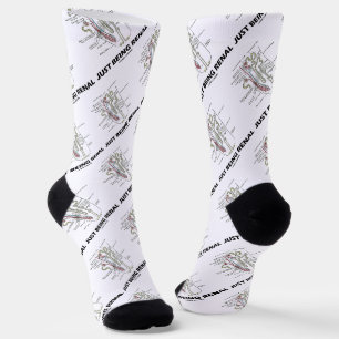 Chaussette Être un Humour d'anatomie de néphron du rein rénal