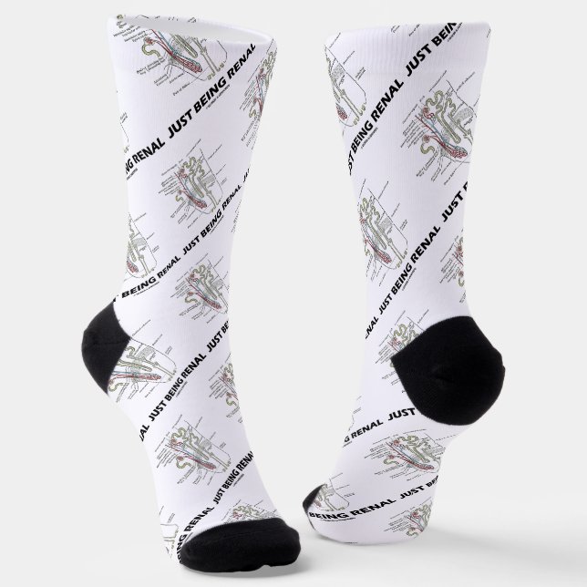 Chaussette Être un Humour d'anatomie de néphron du rein rénal (Angulaire)