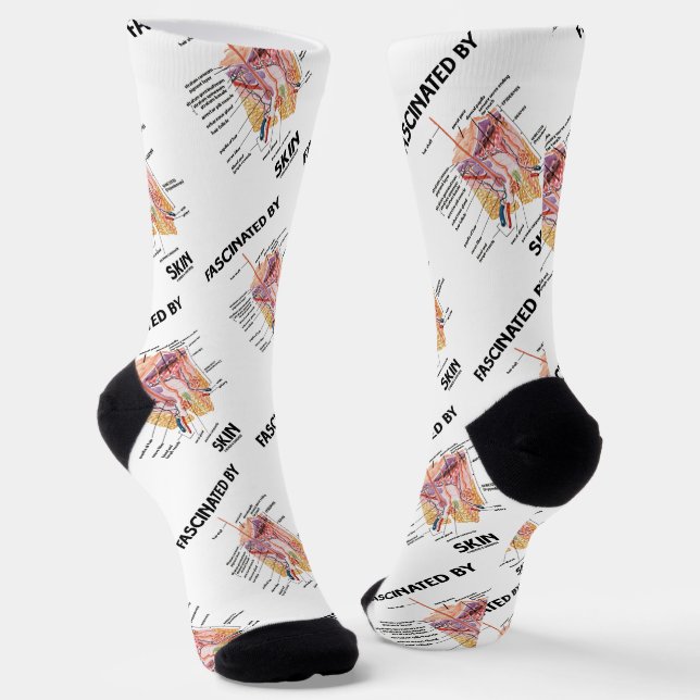 Chaussette Fasciné Par La Peau (Couches De Peau Anatomiques) (Angulaire)