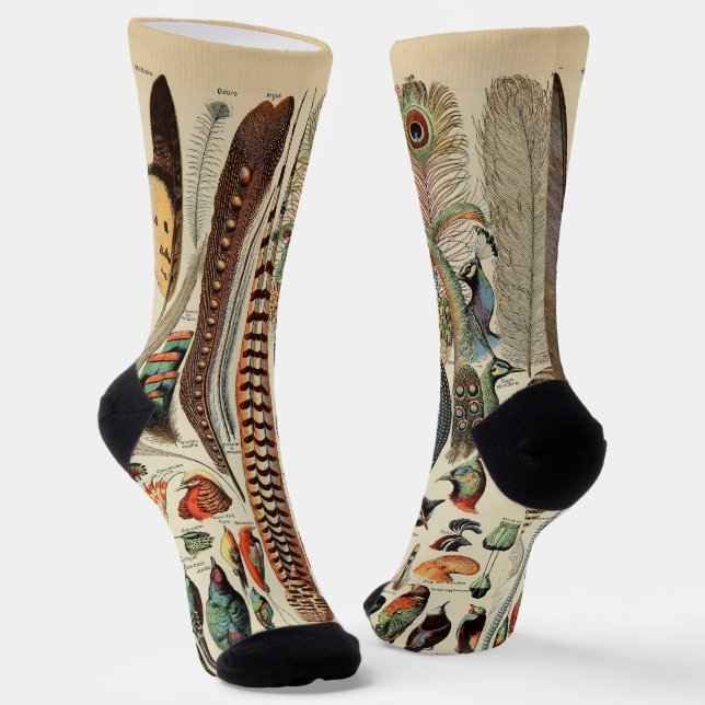 Chaussette Feather Bird Wildlife Plumes d'antiquités (Angulaire)