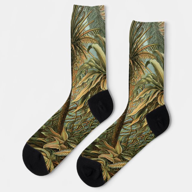 Chaussette Ferns Palm Tree Antiquité Botanique Ferns Art (Gauche)