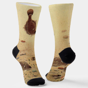 Chaussette Flets ou poissons plats, vie marine océanique vint
