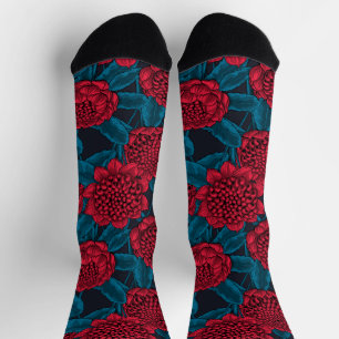 Chaussette Fleurs de waratah rouges