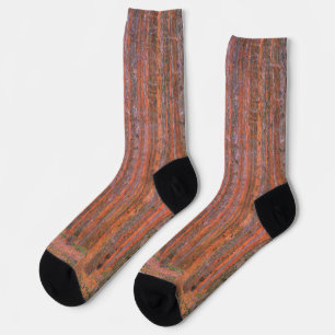 Chaussette Forêt de sapins de Gustav Klimt Tannenwald Arbres