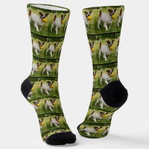 Chaussette Fox Terrier Avec Son Motif À Balle,