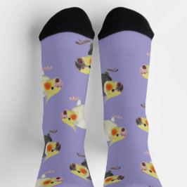 Chaussette Funny Angry Normal Grey Lutino Cockatiels