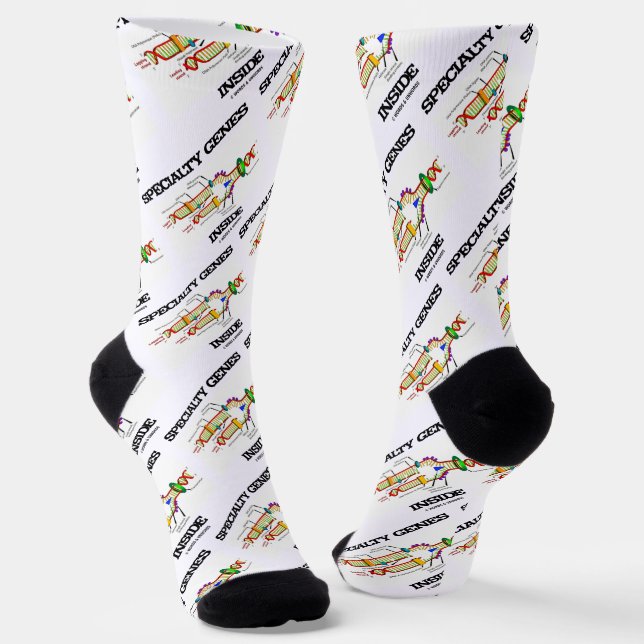 Chaussette Gènes spécialisés dans la réplication de l'ADN (Angulaire)