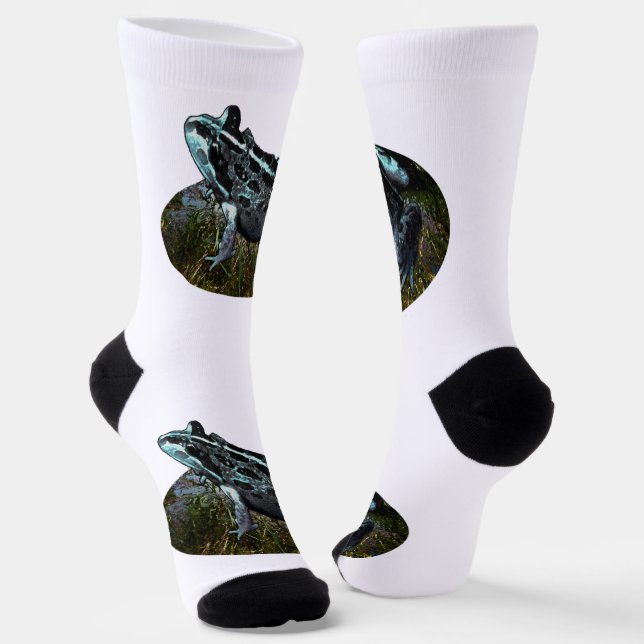 Chaussette Grenouille à herbe peinte, Chaussettes d'équipage (Angulaire)