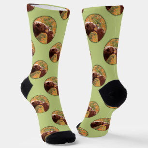 Chaussette Grizzly Bear Mère et Cub Peinture Faune Art