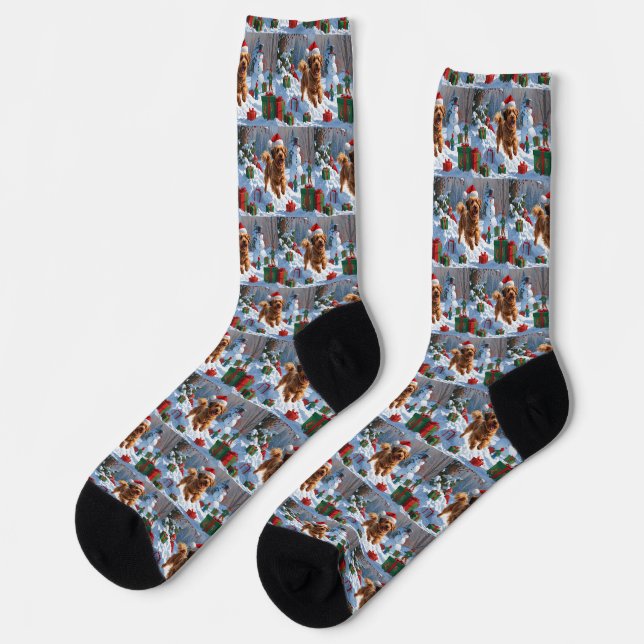 Chaussette Havanais coule en neige avec Casquette de Noël (Gauche)